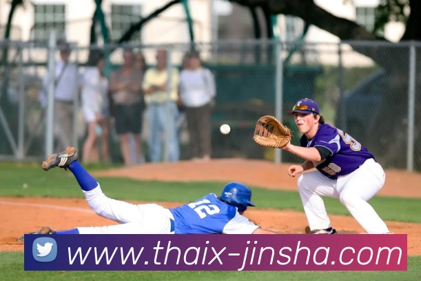 金沙国际平台生态图